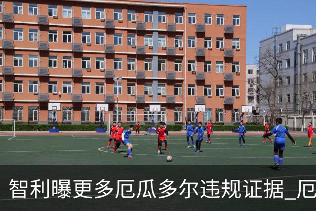 智利曝更多厄瓜多尔违规证据 厄世界杯资格或被取消