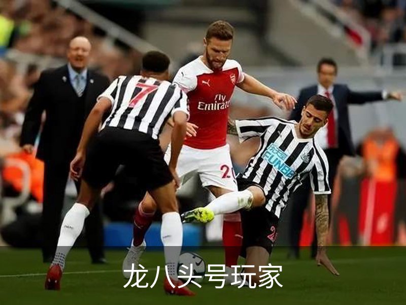 龙八头号玩家简介